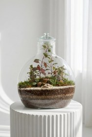 تصویر تراریوم آنتالیا کد 8006 