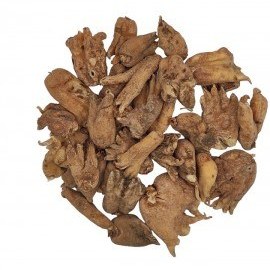 تصویر ثعلب پنجه‌ای 