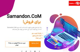 تصویر افزونه فروش و حراج دامنه وردپرس دامینا پرو | Domina Pro 