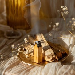 تصویر چوب پالوسانتو اصل اکوادور Palosanto