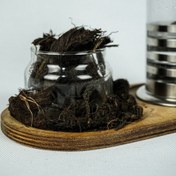 تصویر سنبل الطیب 