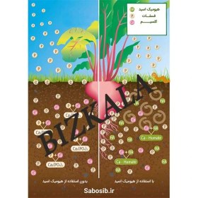 تصویر کود مایع هیومیک اسید ۱ لیتری سبوسیب 