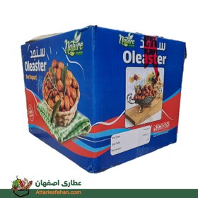 تصویر سنجد کارتنی 