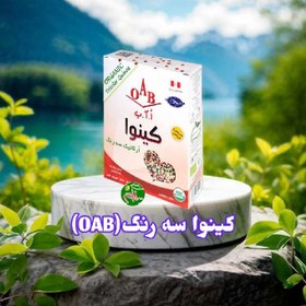 تصویر کینوا سه رنگ (OAB)(500گرم) 