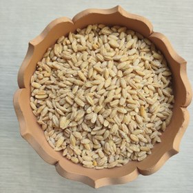 تصویر جو پوست کنده 