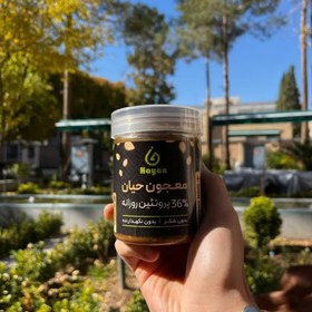 تصویر معجون حیان (450 گرم) 