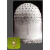 تصویر نازل قاصدک (خورشیدی) 