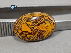 تصویر جاسپر مریم بیضی 1.4 گرم 