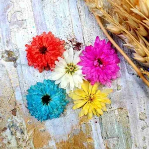 تصویر فروشگاه کافه رزین