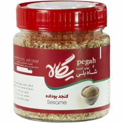 تصویر کنجد ایرانی شابلی (پگاه) – 250 گرمی 