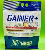 تصویر گینر پلاس ویگور 3000 گرم - شکلات فندقی Gainer plus Vigor
