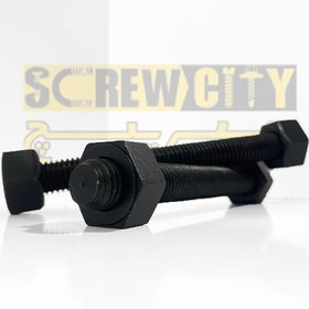 تصویر استاد بولت 