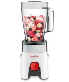 تصویر مخلوط کن و آسیاب کن مولینکس مدل LM242B25 Moulinex Blender and Grinder LM242B25