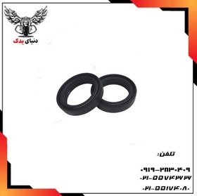 تصویر کاسه نمد کمک جلو بنلی 