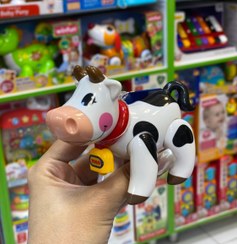 تصویر گاو تولو Tolo