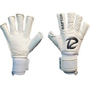 تصویر raptor NITRO 