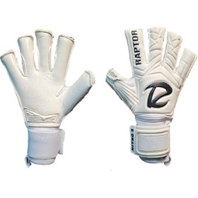 تصویر raptor NITRO 