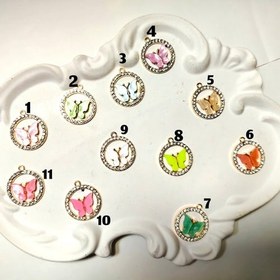 تصویر پروانه دور نگین 