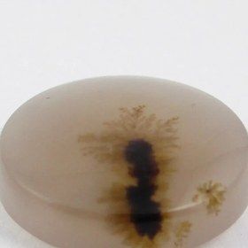 تصویر سنگ شجر کد 2381 