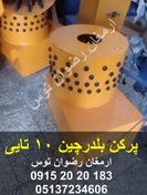 تصویر پرکن بلدرچین 10 تایی 