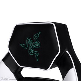 تصویر صندلی گیمینگ ریزر مدل RAZER2024 