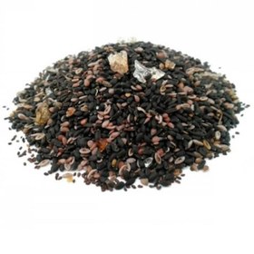 تصویر چهار تخمه 