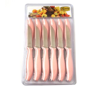 تصویر کارد میوه خوری بیوتی کد 6671 بسته 12 عددی Beauty fruit knife knife code 6671, 12-piece package