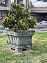 تصویر گلدان بتنی مدل Homatus سایز بزرگ 