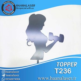 تصویر تاپر کیک بدنسازی کد 236 هانالیزر 