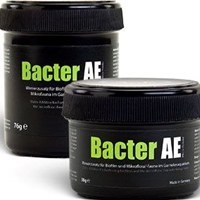 تصویر Bacter ae glasgarten باکتری ای ای گلس گارتن بایوفیلم 