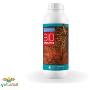 تصویر کود بیورادیکانت مایع ریشه زا و محرک رشد قوی 1 لیتری Bio Radicant 1Litr Fertilizer