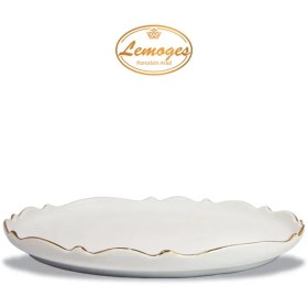 تصویر دیس گرد موج بزرگ 