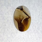 تصویر سنگ شجر کد ۴۰۰۲۸ 