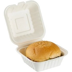 تصویر همبرگر خوری گیاهی سوگاس 