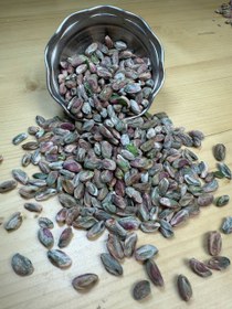 تصویر مغز پسته کال 