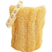 تصویر لیف حمام اسفنجی بالمی با خاصیت لایه بردار 