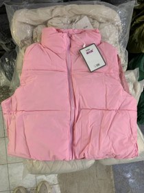 تصویر پافر کراپی در رنگبندی 