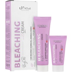 تصویر کرم بی رنگ کننده مو سی گل مدل 2in1حجم ۹۰ میلی لیتر SEAGULL