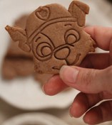 تصویر استامپ‌سگ های نگهبان ، راکی 