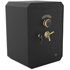 تصویر گاو صندوق T750 