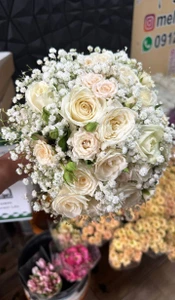 تصویر فروشگاه گل و گیاه فلوریکا