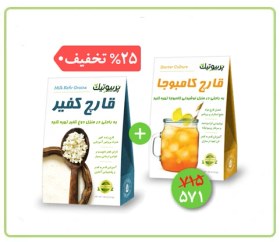 تصویر قارچ کفیر و کامبوچا 