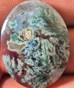 تصویر عقیق شجر بهاره سایز مدالی Shajar bahare