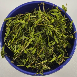 تصویر فروشگاه ایران سنتلا