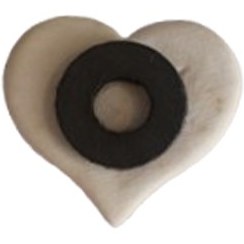 تصویر مگنت قلبی 