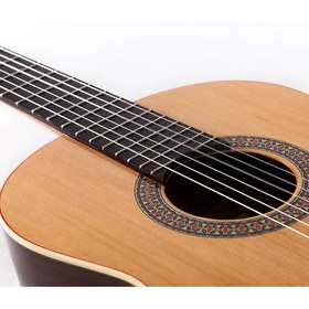 تصویر گیتار آلتامیر مدل N100 