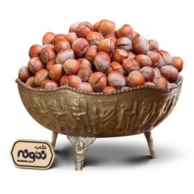 تصویر فندق خام ایرانی 