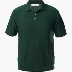 تصویر پولوشرت دانته 