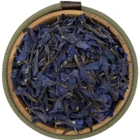 تصویر گل گاوزبان شمالی 