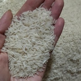 تصویر برنج فجر کیلویی 59 تومان (10 کیلو) ارسال رایگان- برنج ایرانی خوشپخت- برنج طارم فجر 